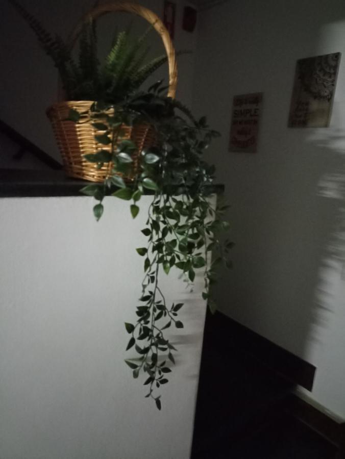 Hostel Vilarade Portimao Luaran gambar